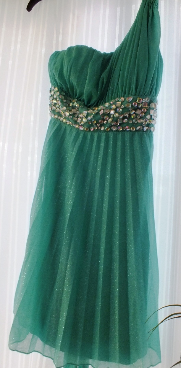 Dress #4251